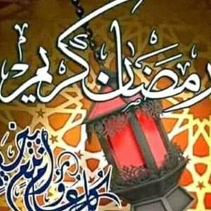 Meet your Posher, Hibo